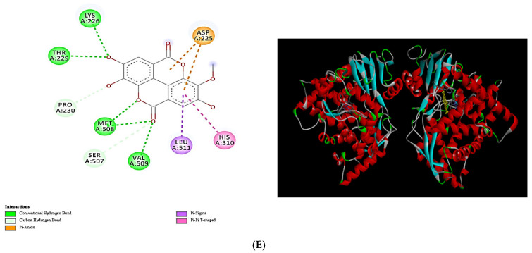 Figure 6