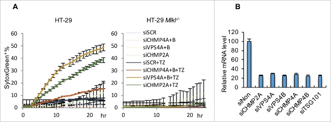 Figure 5.