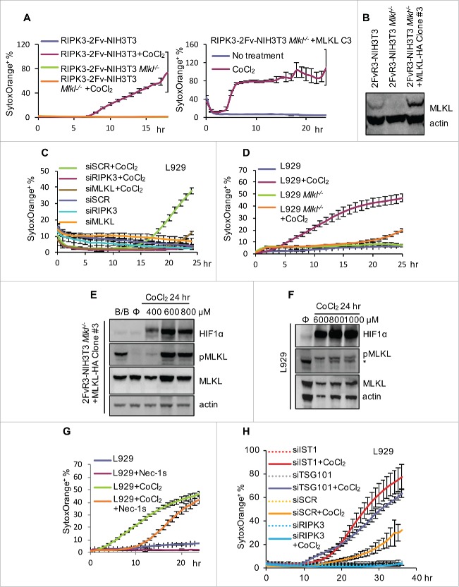 Figure 6.