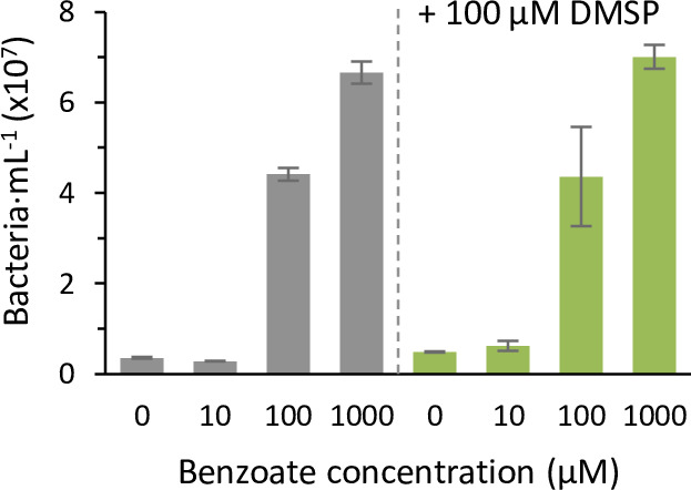 Figure 4—figure supplement 2.