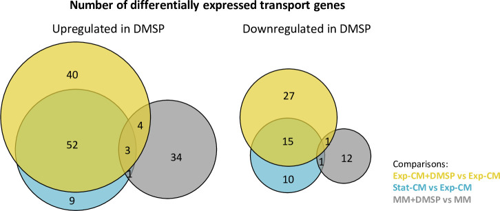 Figure 3—figure supplement 1.