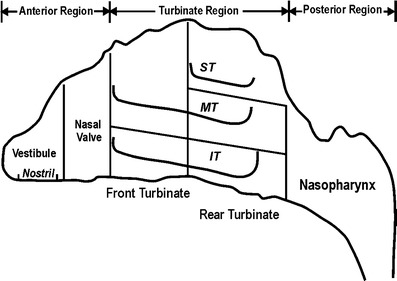 Fig. 9