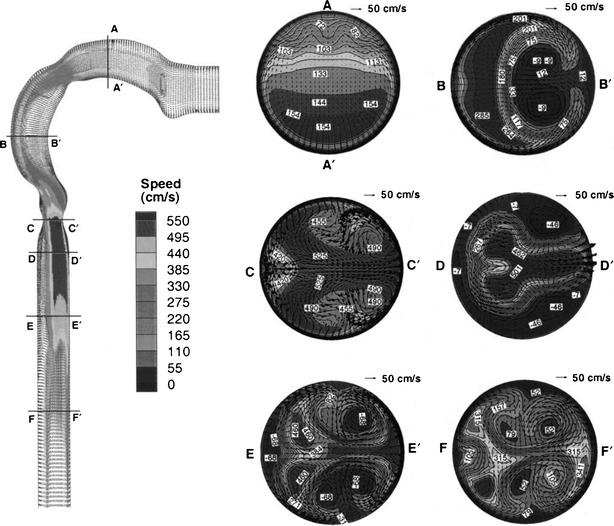 Fig. 7