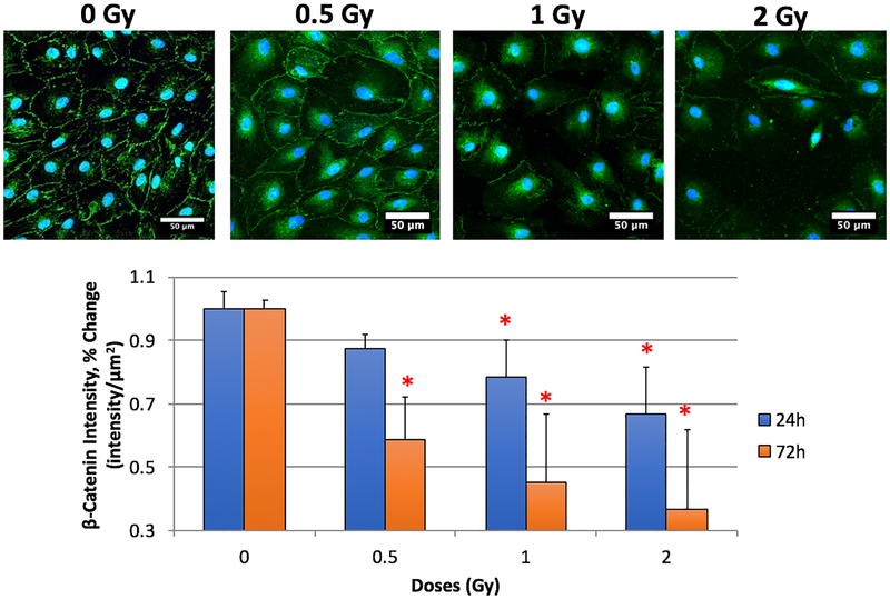 Fig. 2: