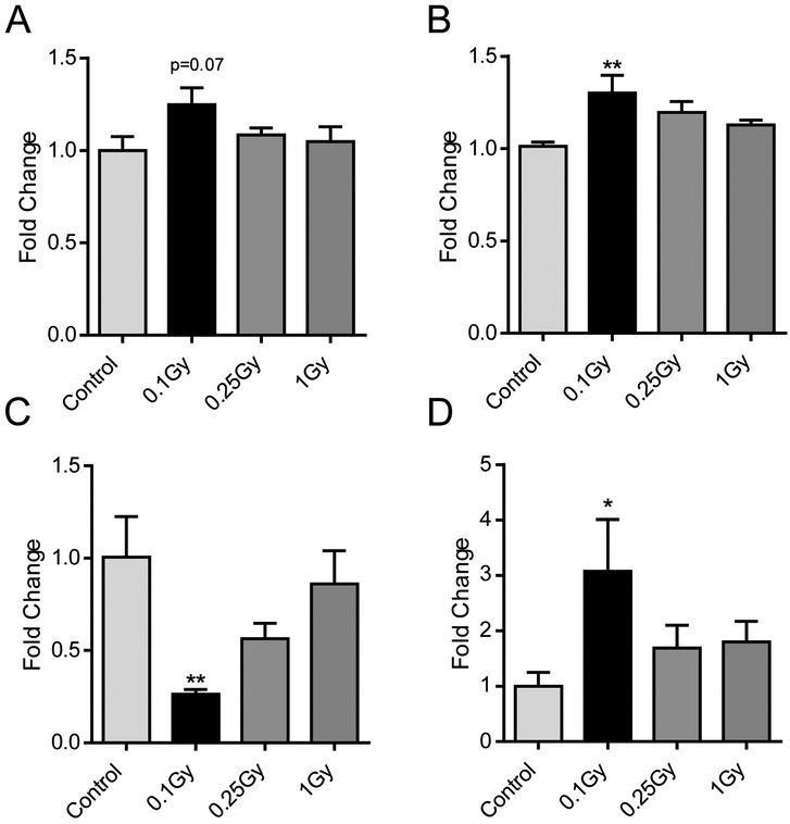 Figure 3: