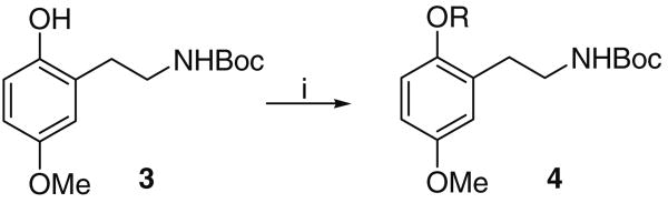 Scheme 2