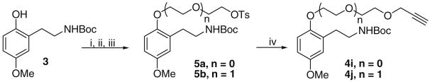 Scheme 3