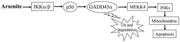 Fig. (1)