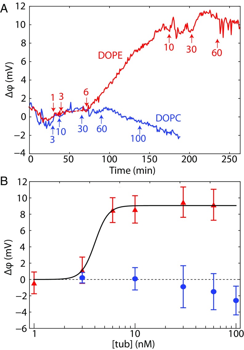 Fig. 4.