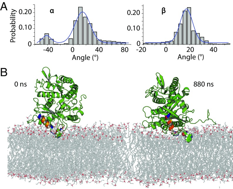 Fig. 8.