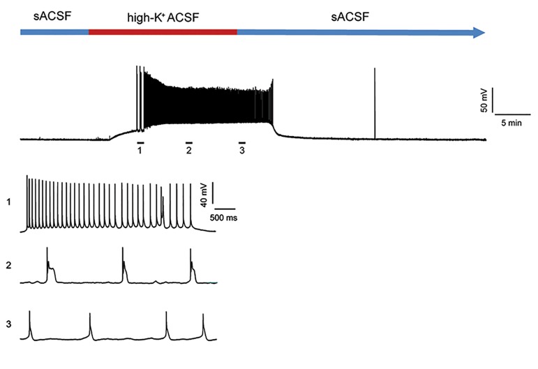 Fig.1