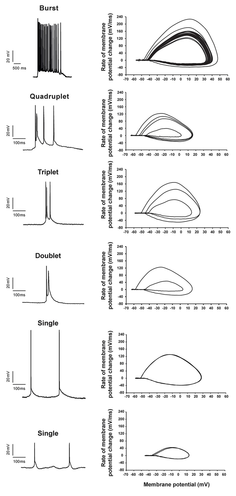 Fig.3