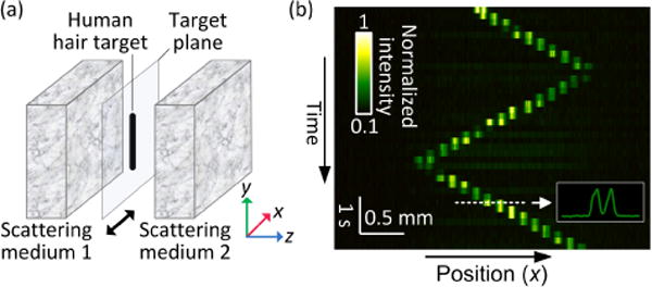 Fig. 4