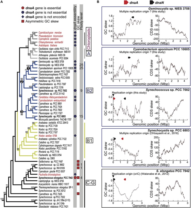 FIGURE 1