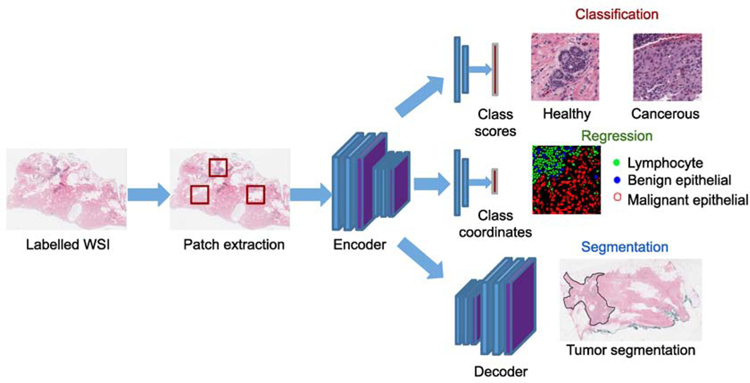 Fig. 3: