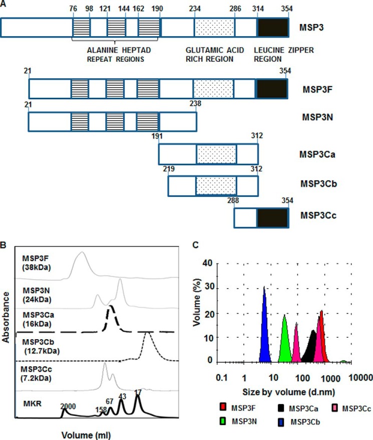 FIGURE 1.