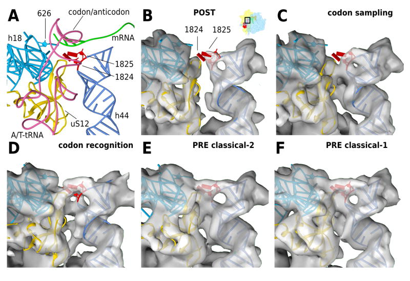 Figure 6