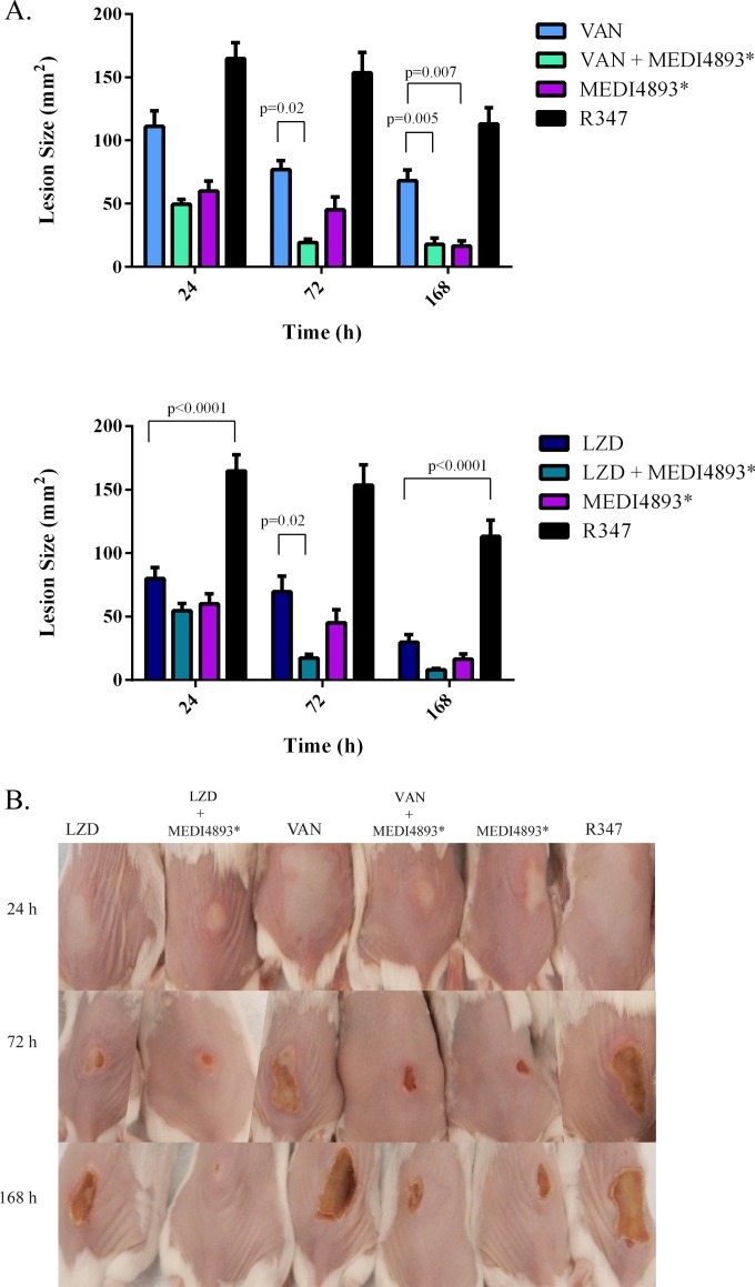 FIG 3