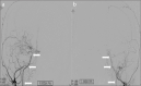 Figure 3. a, b.