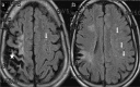 Figure 1. a, b.