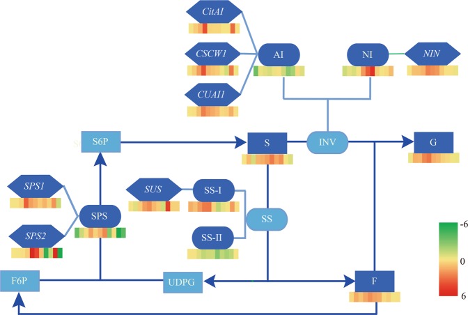 Figure 6