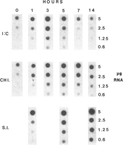 graphic file with name pnas00614-0044-a.jpg