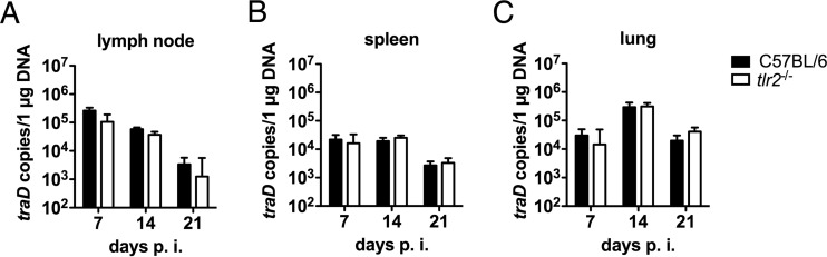 FIG 4