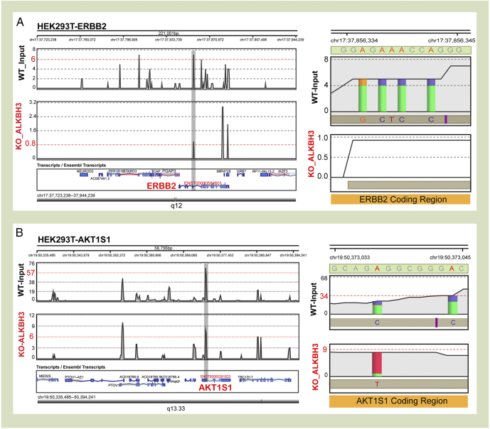 Figure 4