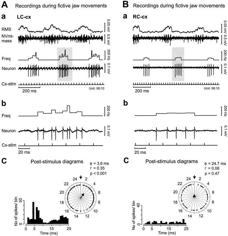 Fig. 10.