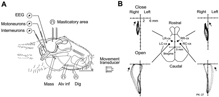 Fig. 1.