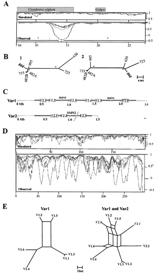 Figure  3