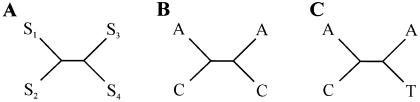 Figure  1