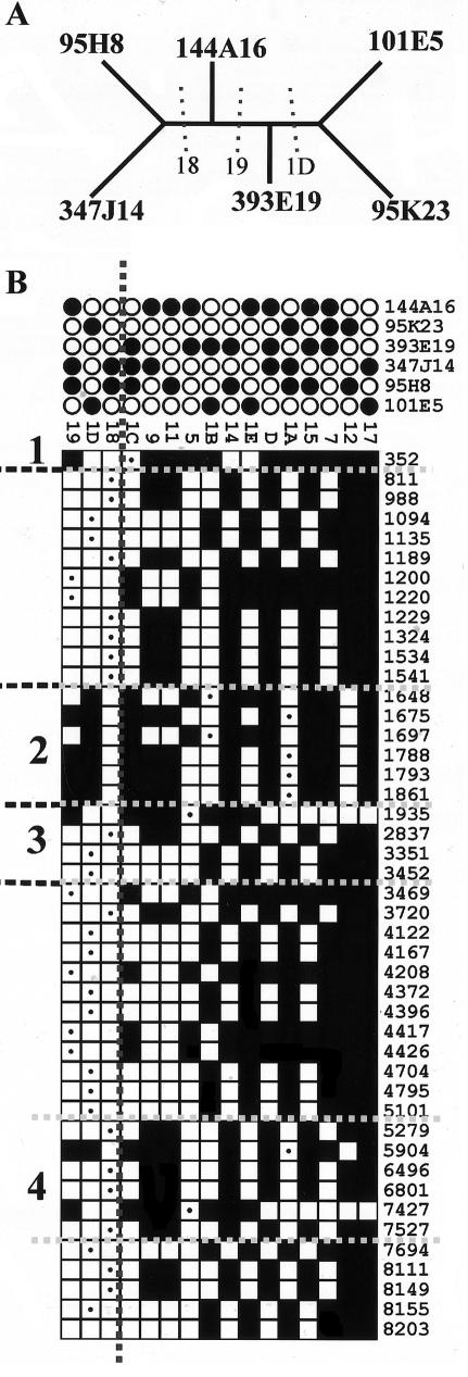 Figure  2