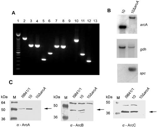 FIG. 4.