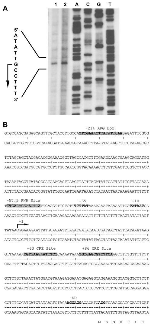 FIG. 2.