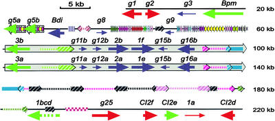 Figure 5.