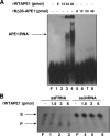 FIG. 7.