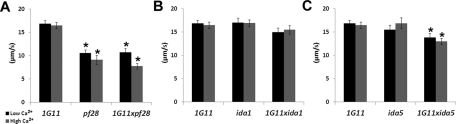 FIGURE 6: