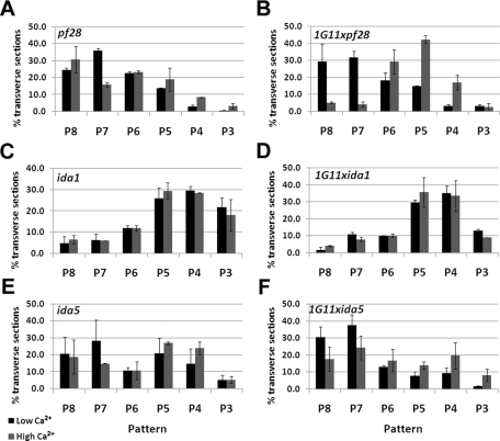 FIGURE 7: