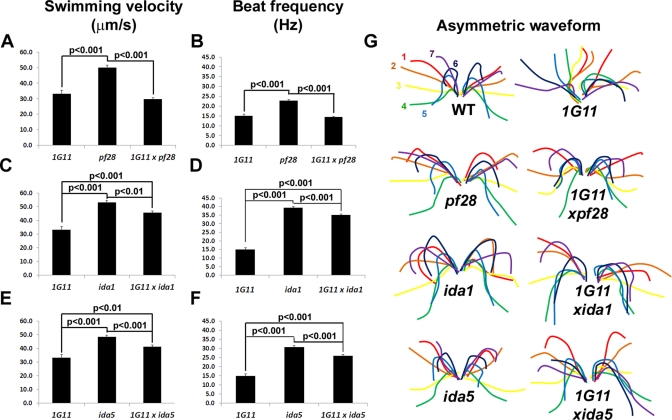 FIGURE 4: