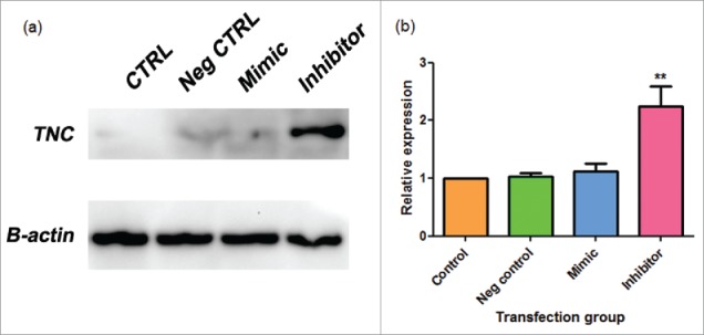 Figure 7.