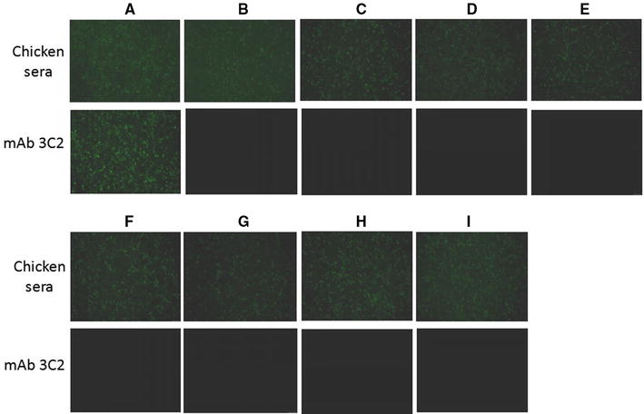 Figure 6