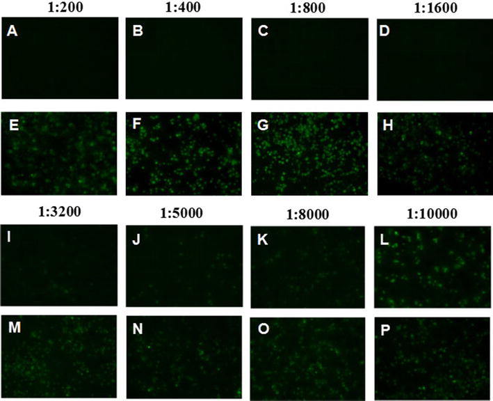 Figure 4