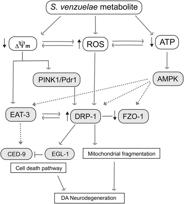 Fig. 7