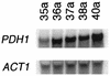 FIG. 6