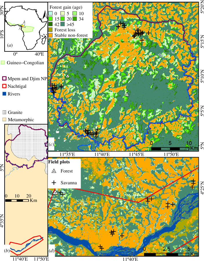 Study area. (a) Location of the study sites within the Guineo–Sagang Congolian transitional area (light green)