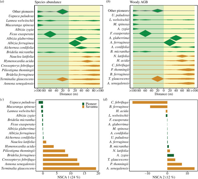 Patterns in species composition and structure of the woody layer.