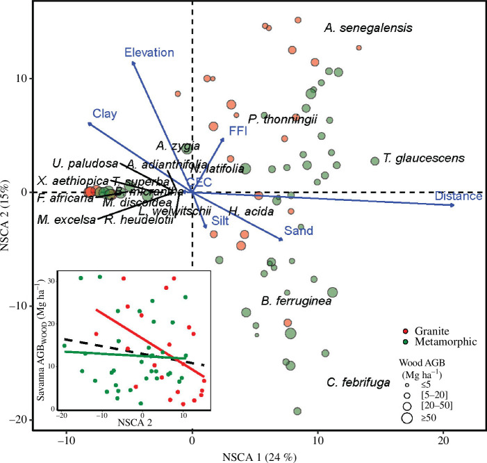 Correlations between soil and other environmental variables over plots and the first and second axis of NSCA of woody species.