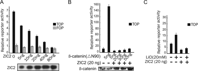 FIGURE 1.