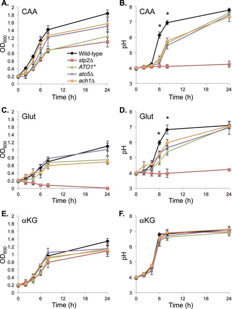 FIG 4 